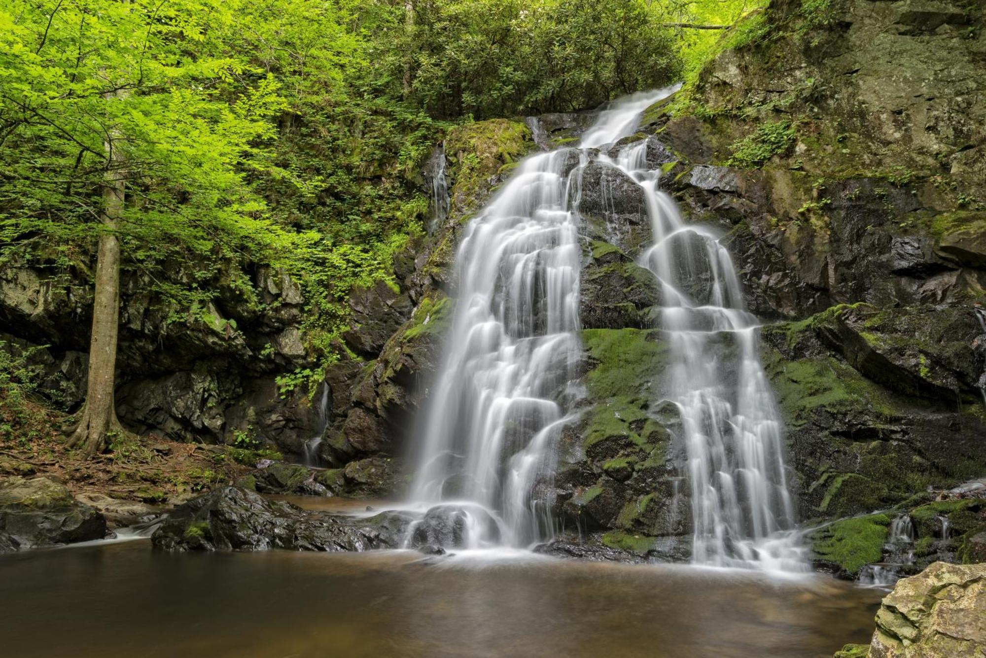 Hidden Creek, Pool Table, Hot Tub, 1089 Free Tickets Each Paid Day, Dollywood And More جاتلينبرج المظهر الخارجي الصورة