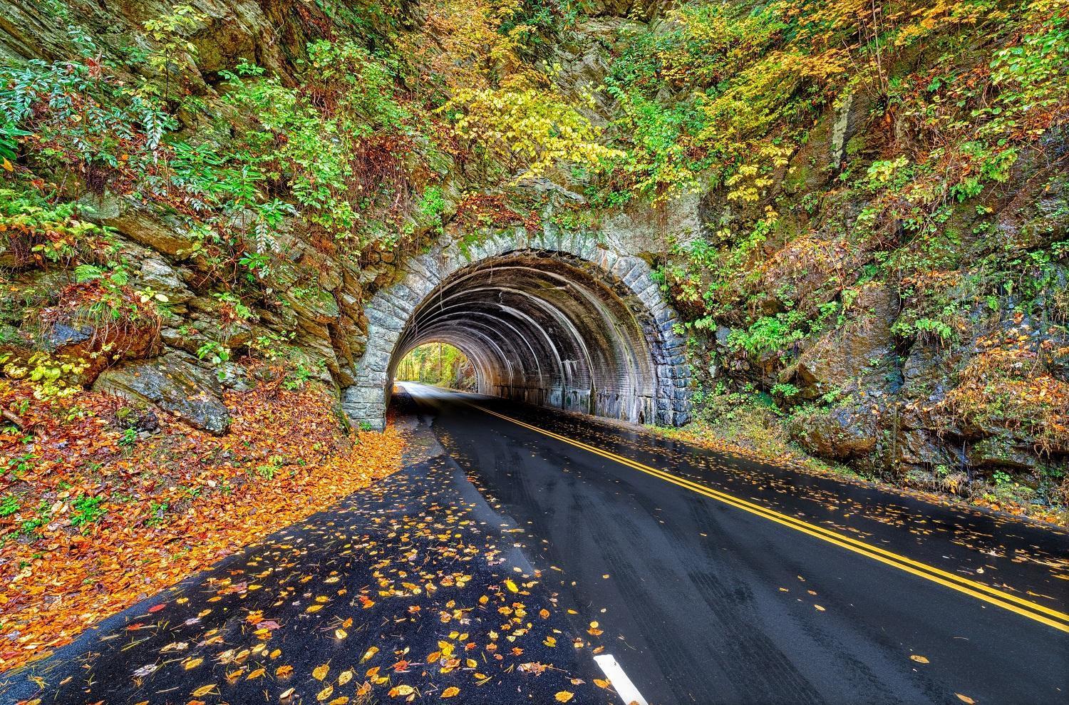 Hidden Creek, Pool Table, Hot Tub, 1089 Free Tickets Each Paid Day, Dollywood And More جاتلينبرج المظهر الخارجي الصورة