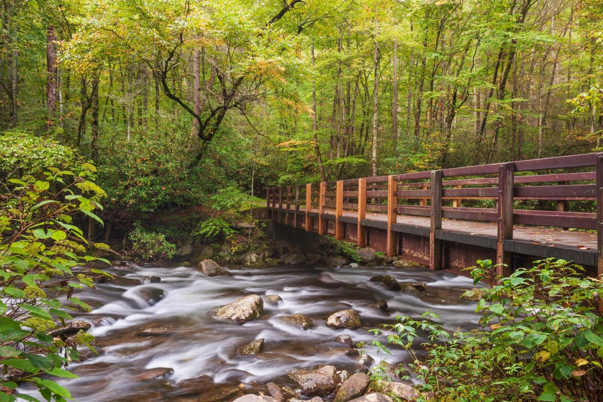 Hidden Creek, Pool Table, Hot Tub, 1089 Free Tickets Each Paid Day, Dollywood And More جاتلينبرج المظهر الخارجي الصورة